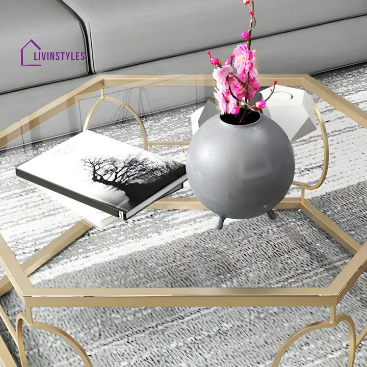 Neil Stainless Steel Frame Coffee Table for Living Room