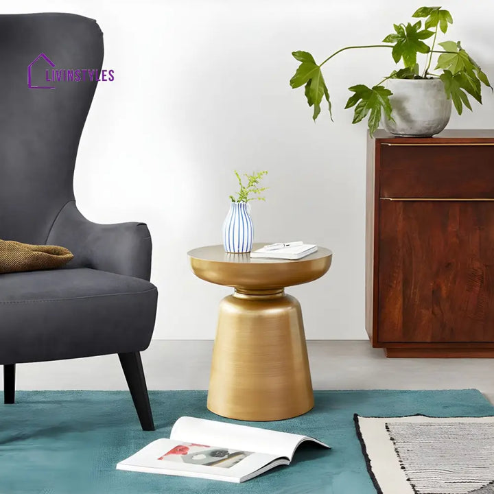 Omisha Stainless Steel Frame Coffee Table for Living Room