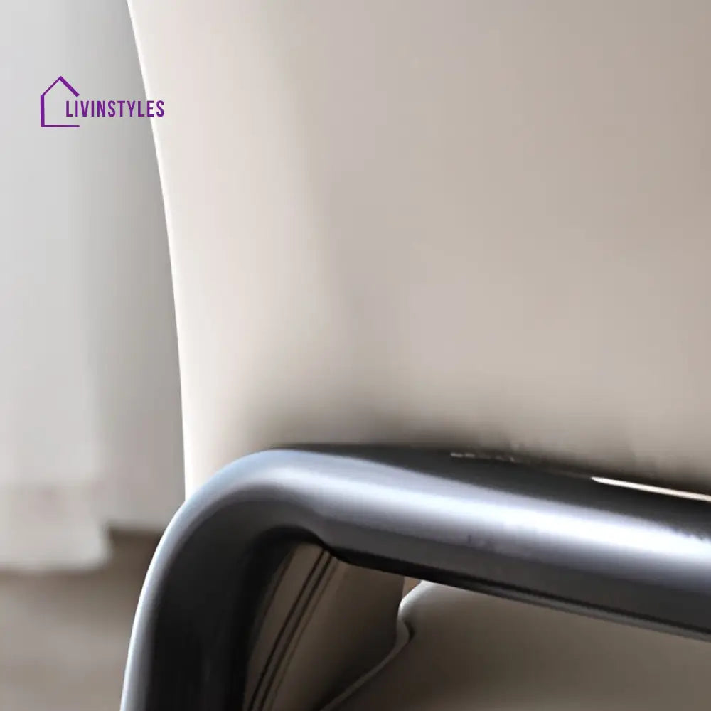 Oorvi Metal Dining Chair | Stainless Steel
