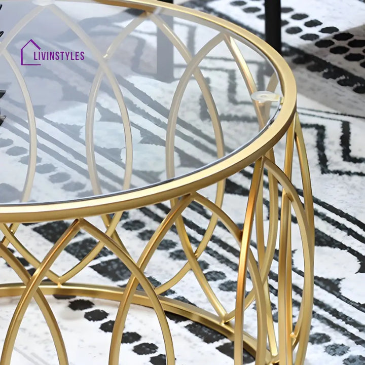 Oorvika Stainless Steel Coffee Table for Living Room