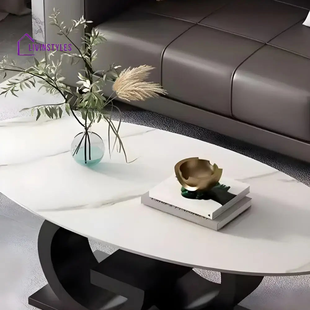 Oorvika Stainless Steel Coffee Table for Living Room