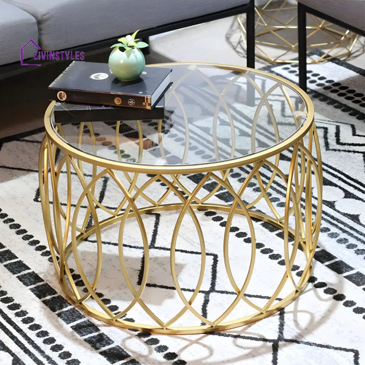 Oorvika Stainless Steel Coffee Table for Living Room