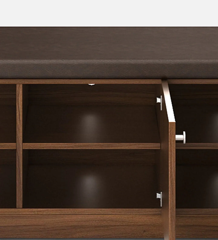 UrbanEdge Premium Shoe Cabinet"