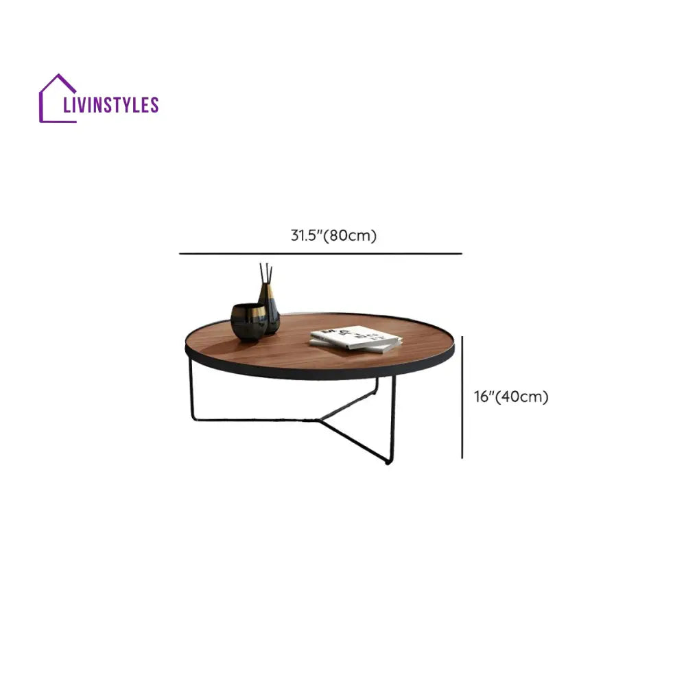Oshin Stainless Steel Frame Coffee Table for Living Room