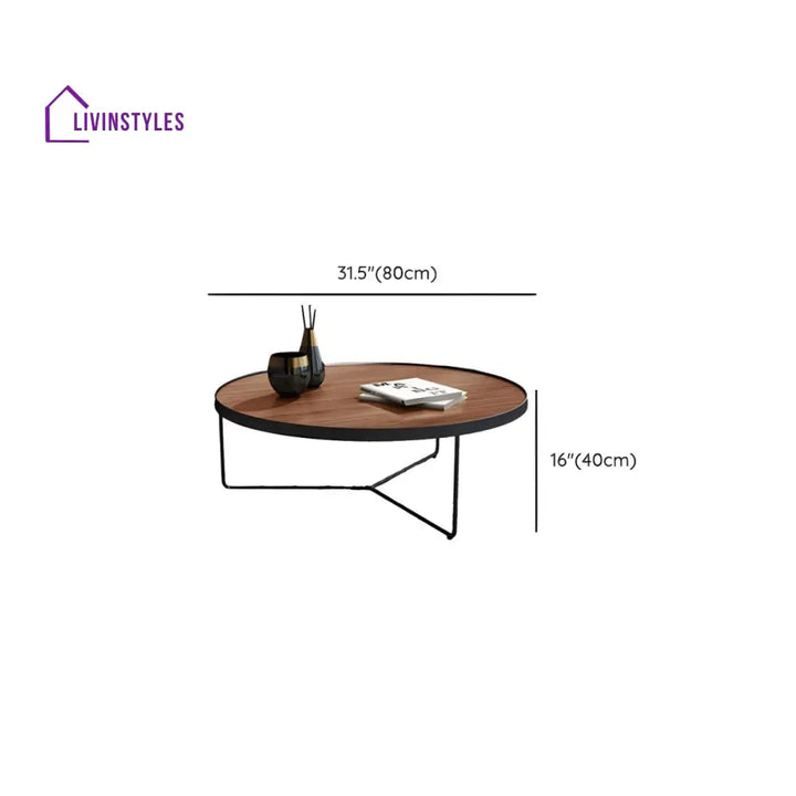 Oshin Stainless Steel Frame Coffee Table for Living Room