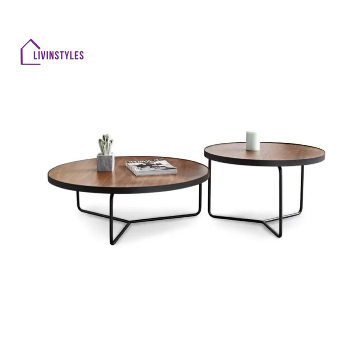 Oshin Stainless Steel Frame Coffee Table for Living Room