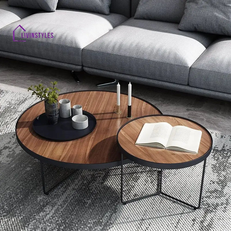 Oshin Stainless Steel Frame Coffee Table for Living Room