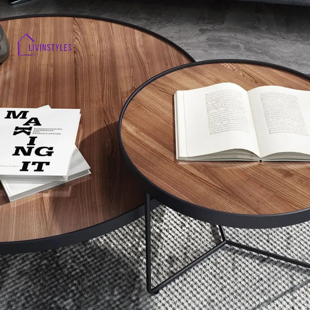 Oshin Stainless Steel Frame Coffee Table for Living Room