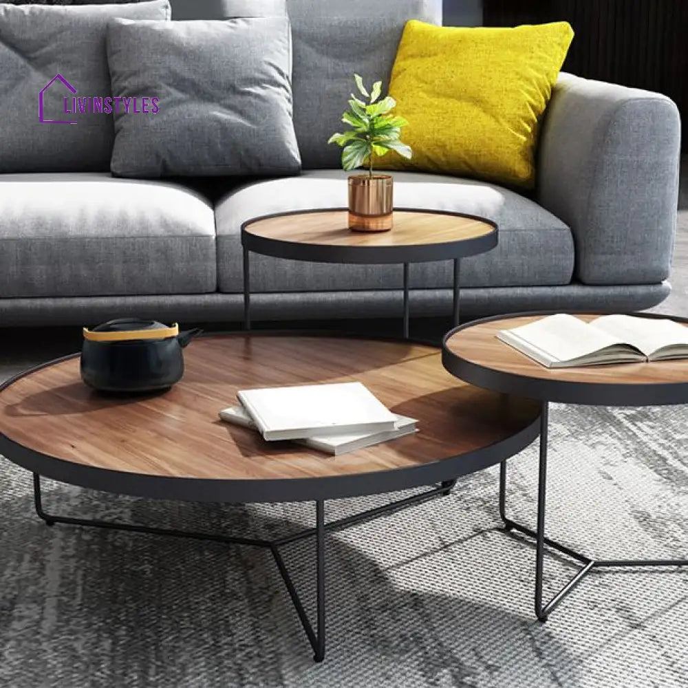 Oshin Stainless Steel Frame Coffee Table for Living Room