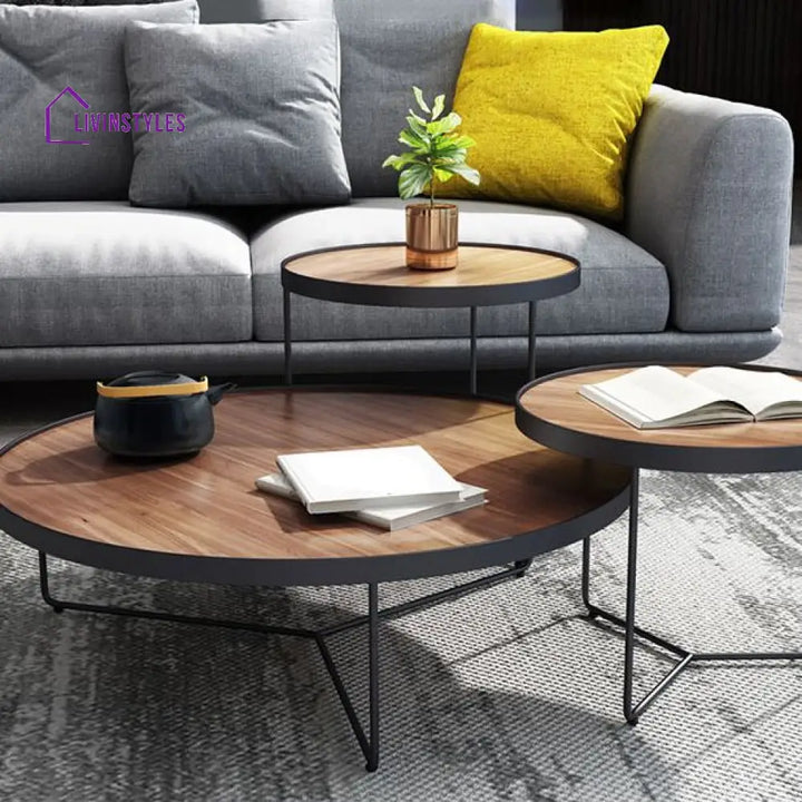 Oshin Stainless Steel Frame Coffee Table for Living Room