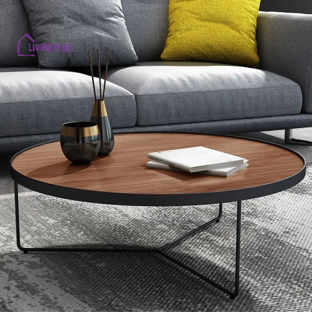 Oshin Stainless Steel Frame Coffee Table for Living Room