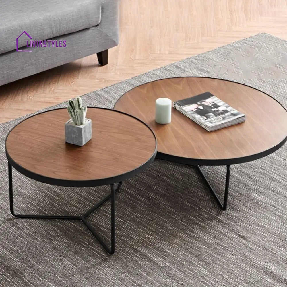 Oshin Stainless Steel Frame Coffee Table for Living Room