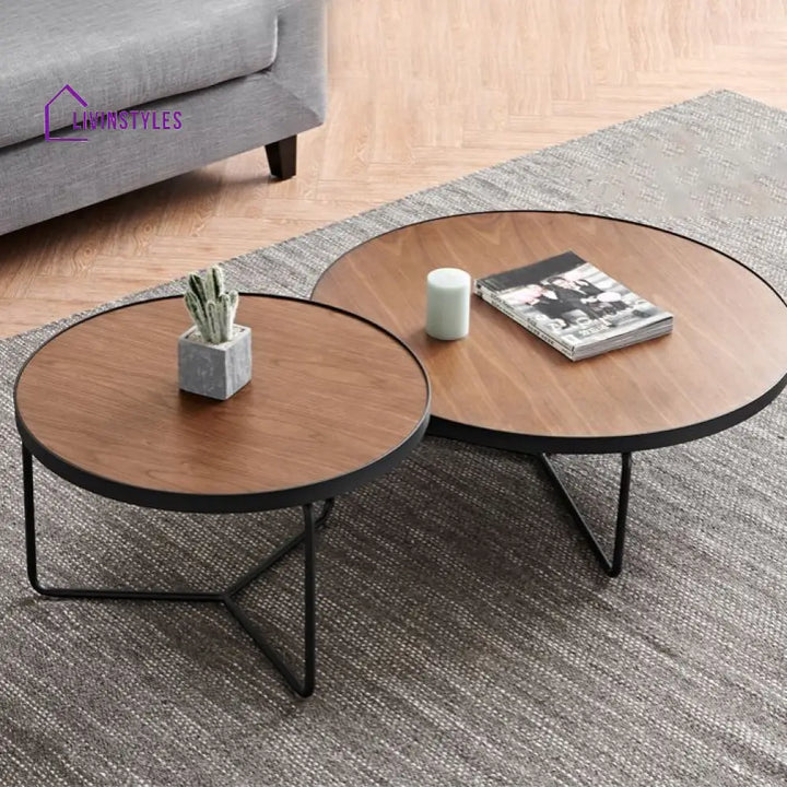Oshin Stainless Steel Frame Coffee Table for Living Room