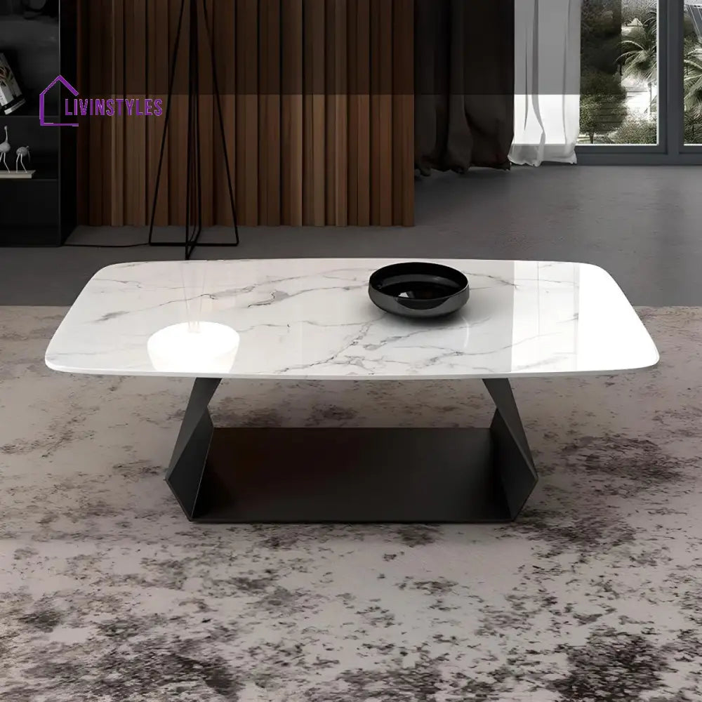 Oshin Stainless Steel Rectangle Shaped Coffee Table for Living Room