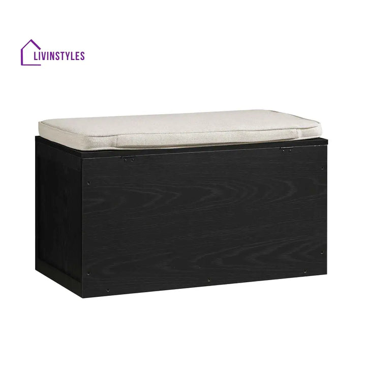 Frances Woven Rattan Double Storage Stool with Cushion Black Cabinets & Chests