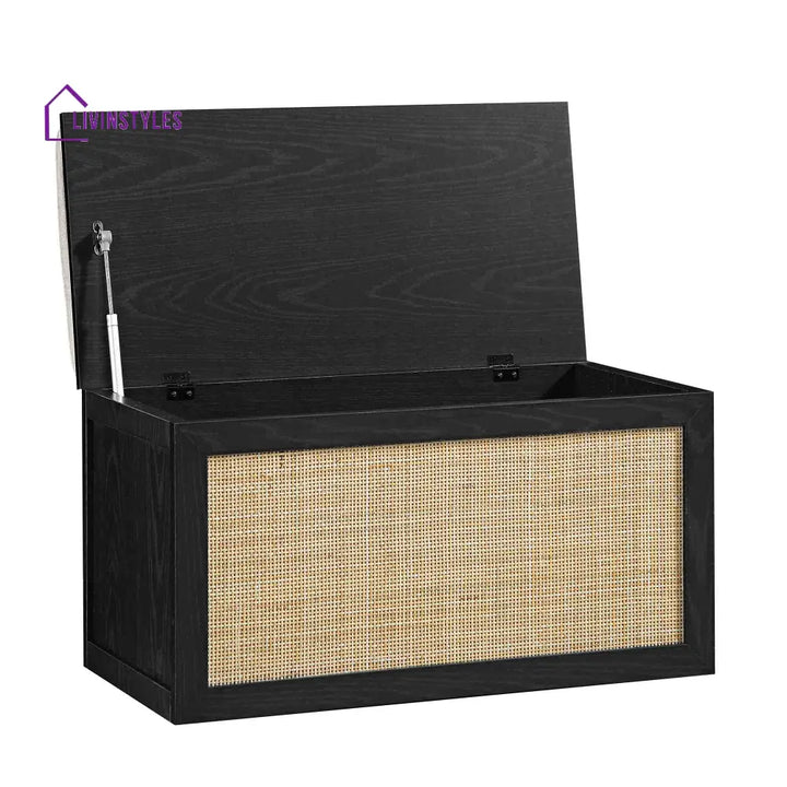 Frances Woven Rattan Double Storage Stool with Cushion Black Cabinets & Chests