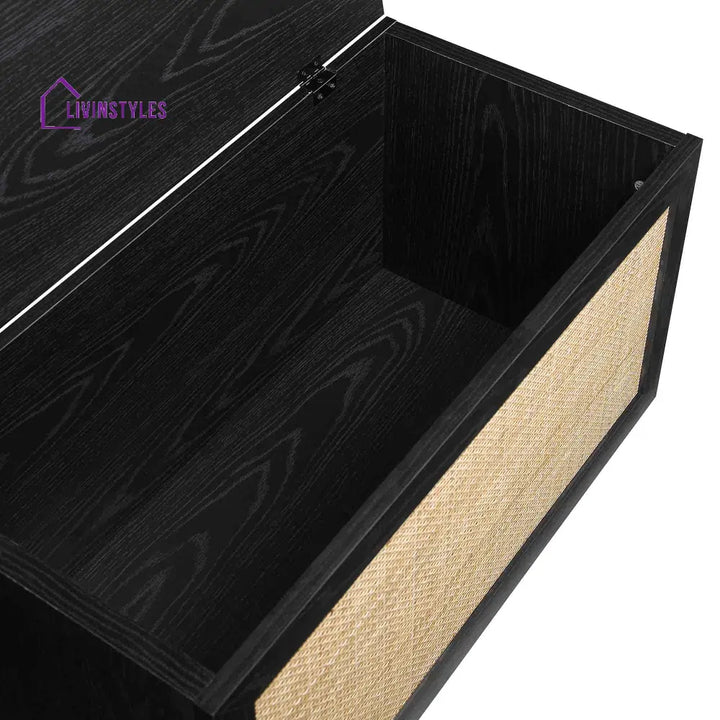 Frances Woven Rattan Double Storage Stool with Cushion Black Cabinets & Chests