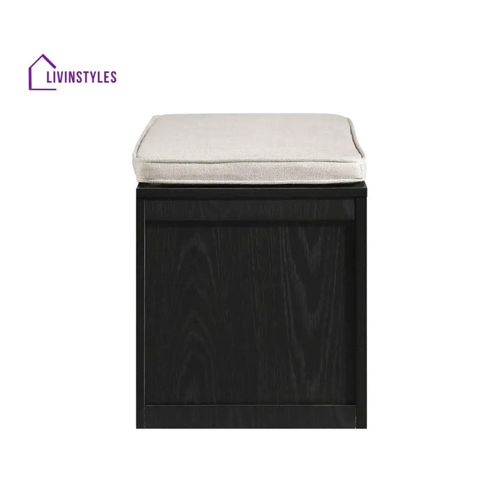Frances Woven Rattan Double Storage Stool with Cushion Black Cabinets & Chests