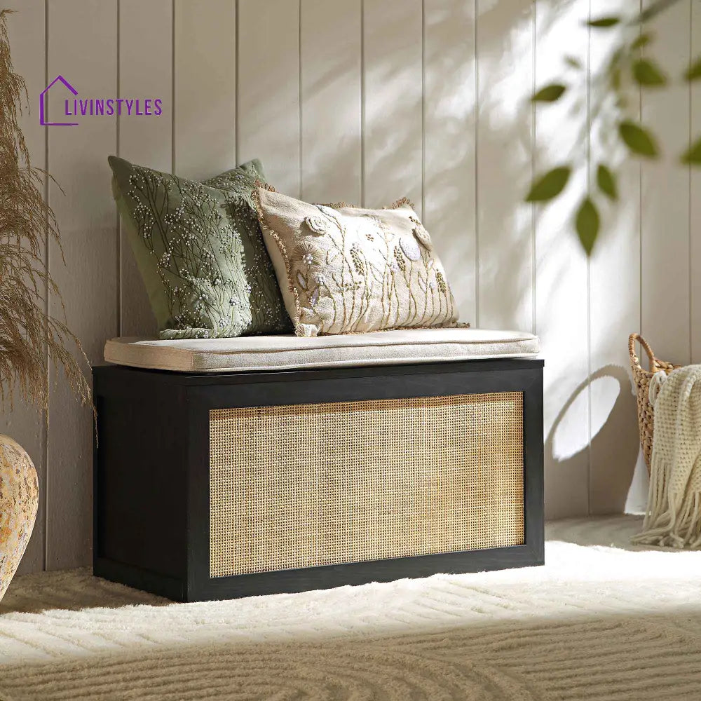Frances Woven Rattan Double Storage Stool with Cushion Black Cabinets & Chests