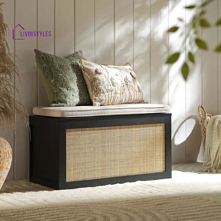 Frances Woven Rattan Double Storage Stool with Cushion Black Cabinets & Chests