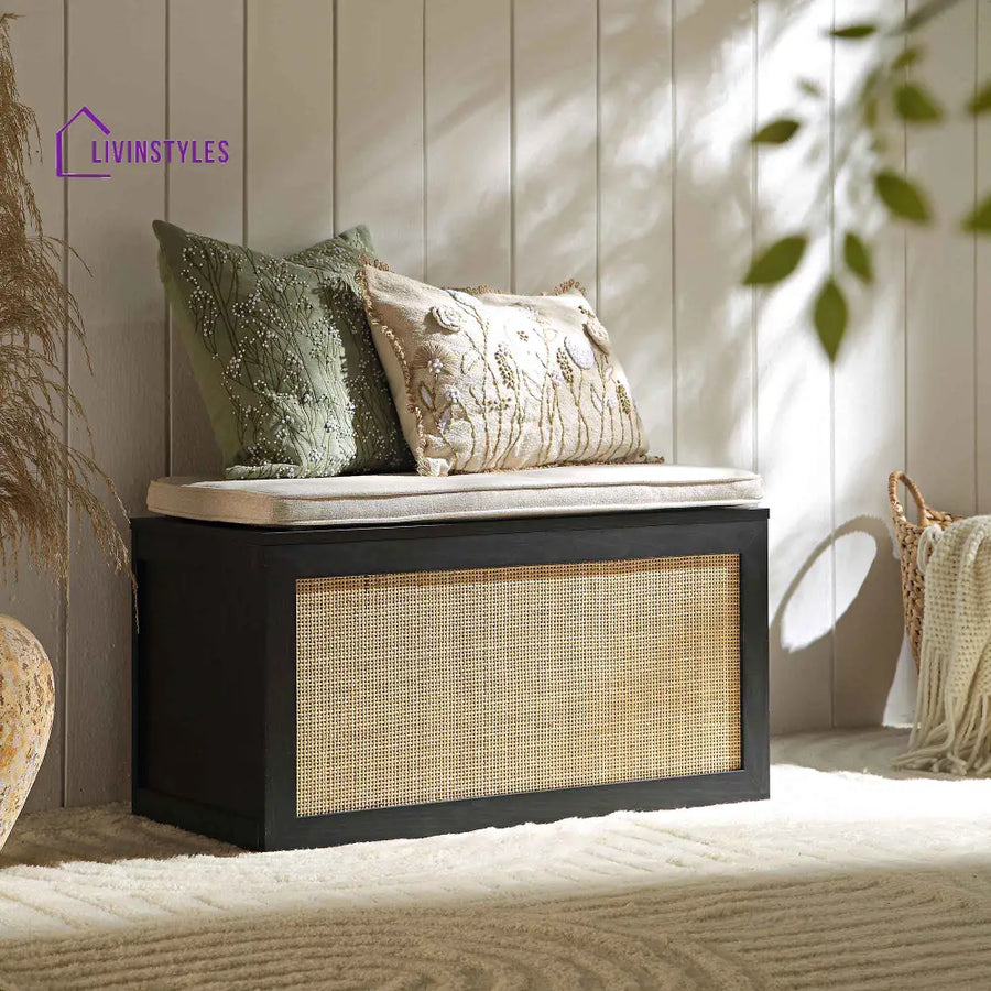 Frances Woven Rattan Double Storage Stool with Cushion Black Cabinets & Chests