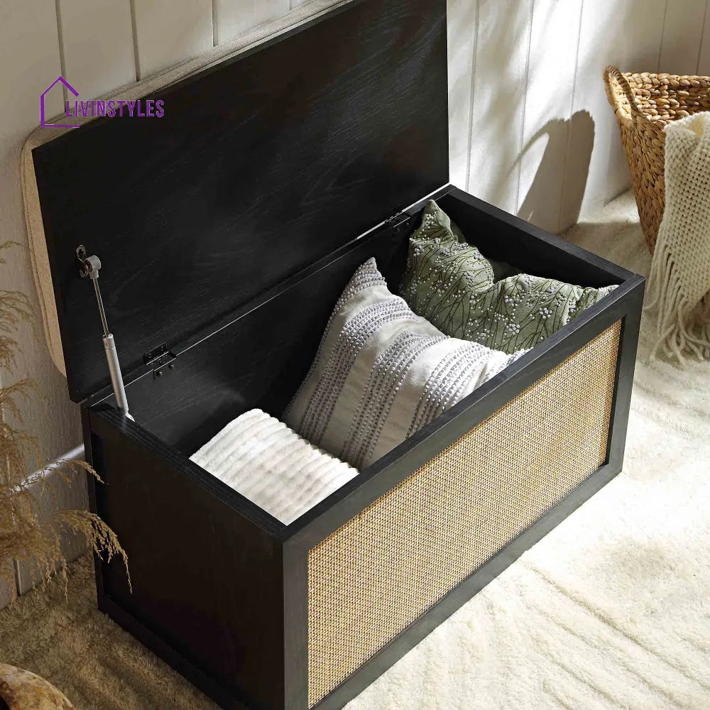 Frances Woven Rattan Double Storage Stool with Cushion Black Cabinets & Chests