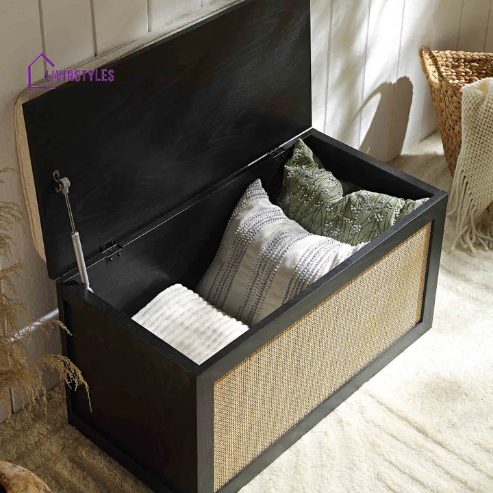 Frances Woven Rattan Double Storage Stool with Cushion Black Cabinets & Chests