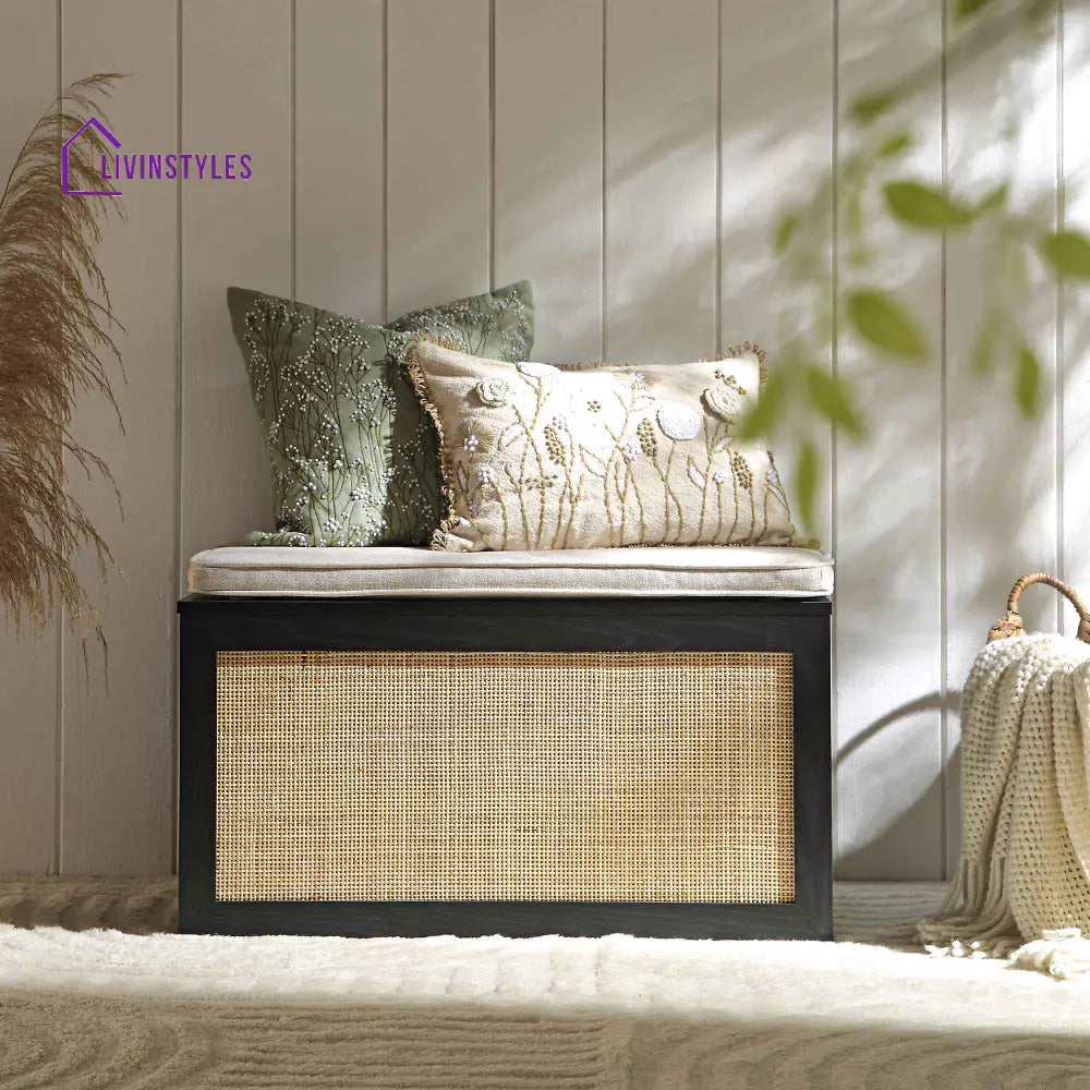 Frances Woven Rattan Double Storage Stool with Cushion Black Cabinets & Chests