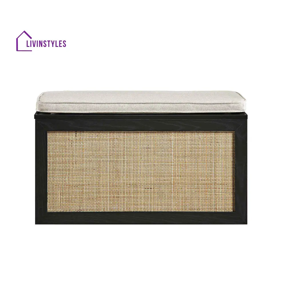 Frances Woven Rattan Double Storage Stool with Cushion Black Cabinets & Chests