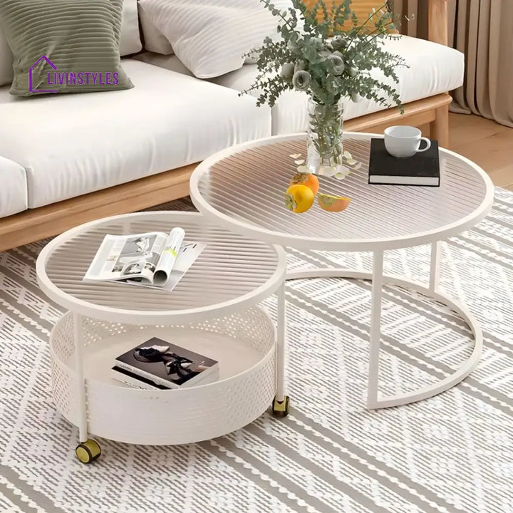 Parikshit Stainless Steel Frame Coffee Table for Living Room