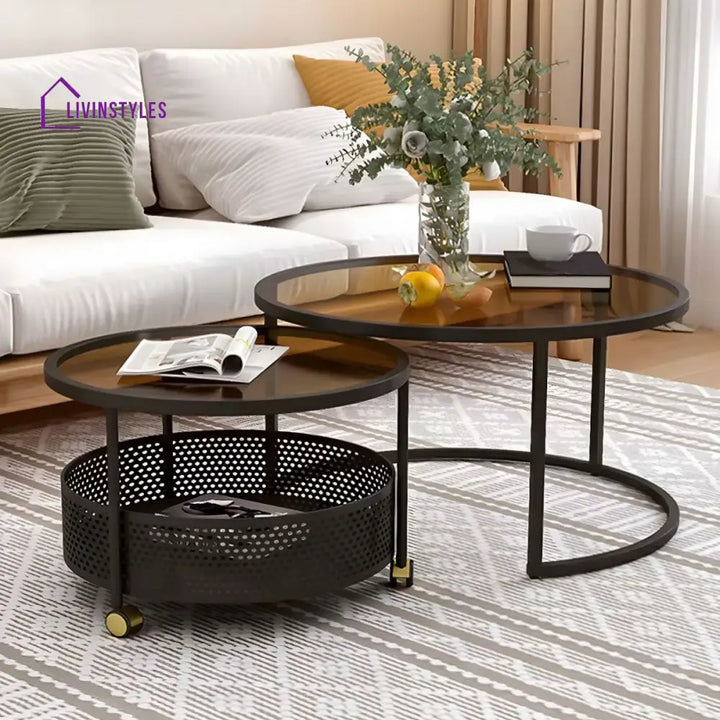 Parikshit Stainless Steel Frame Coffee Table for Living Room