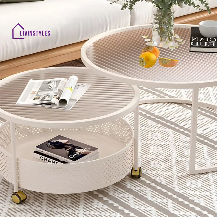 Parikshit Stainless Steel Frame Coffee Table for Living Room
