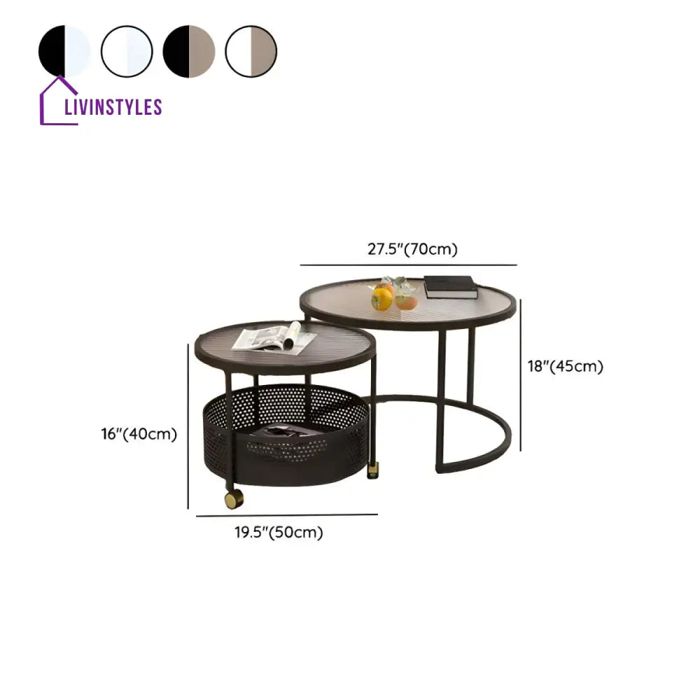 Parikshit Stainless Steel Frame Coffee Table for Living Room