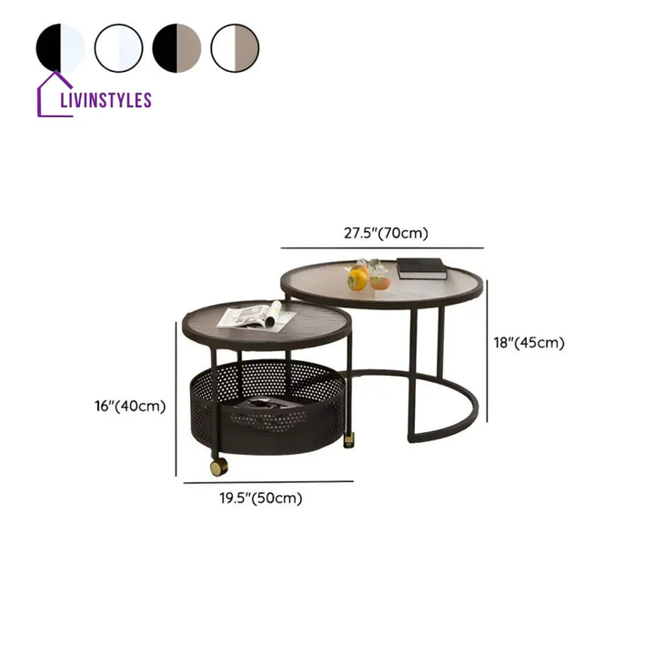 Parikshit Stainless Steel Frame Coffee Table for Living Room