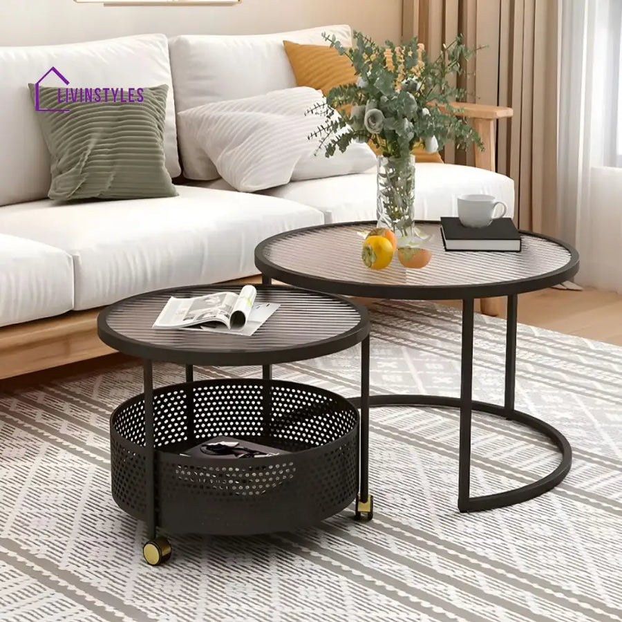 Parikshit Stainless Steel Frame Coffee Table for Living Room