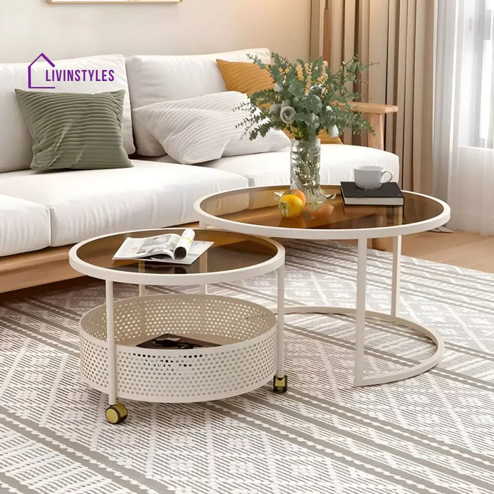 Parikshit Stainless Steel Frame Coffee Table for Living Room