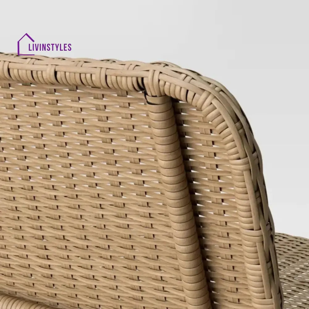 Parineeti 2-Seater Outdoor Garden Rattan Bench With Metal Frames - Garden Bench