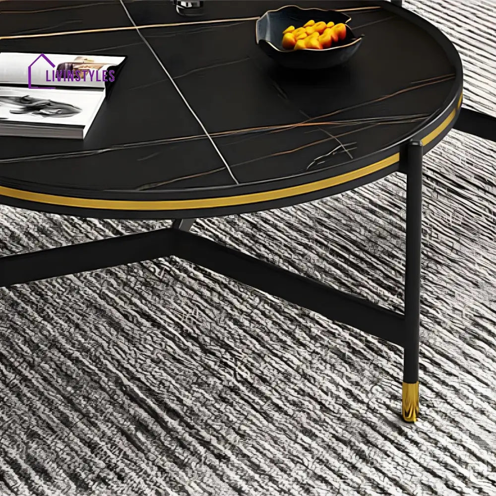 Parth Stainless Steel Frame Coffee Table for Living Room