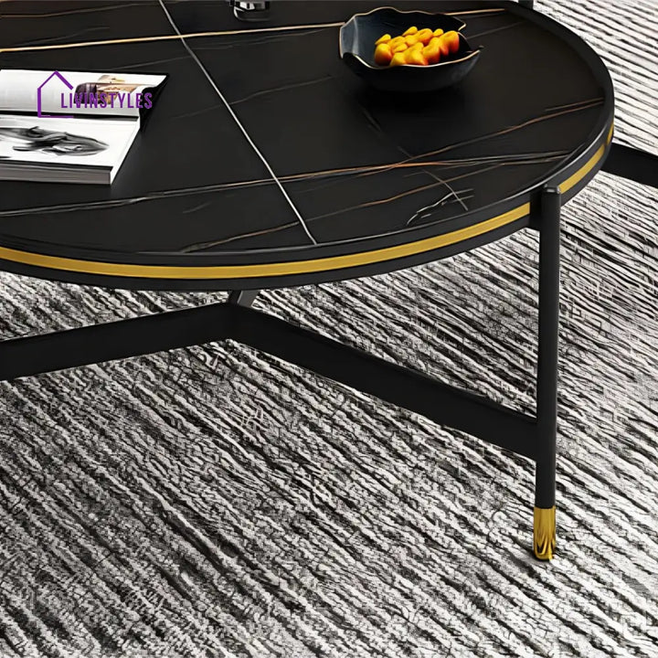Parth Stainless Steel Frame Coffee Table for Living Room