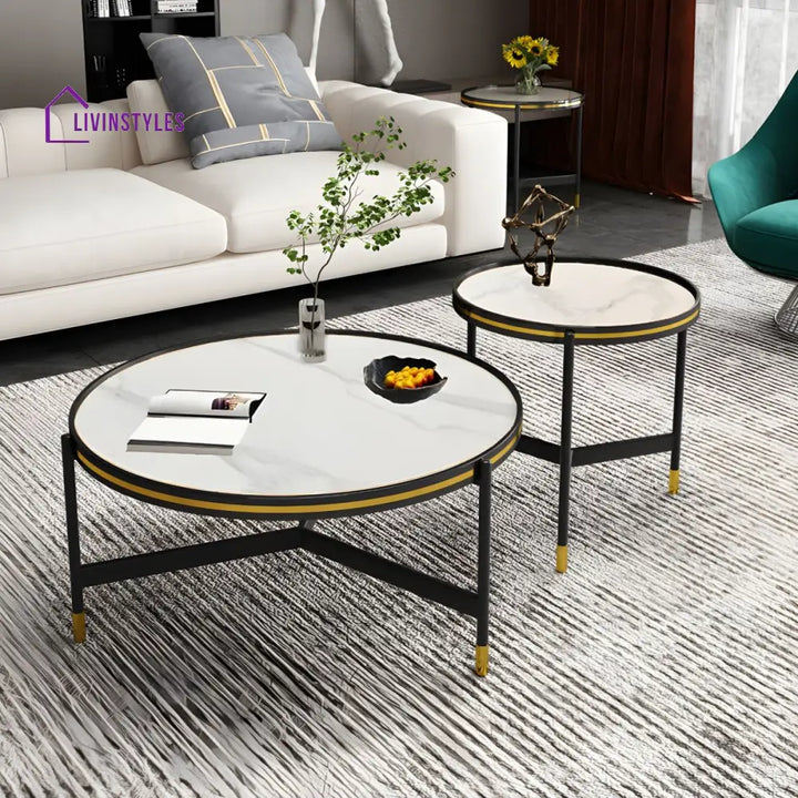 Parth Stainless Steel Frame Coffee Table for Living Room