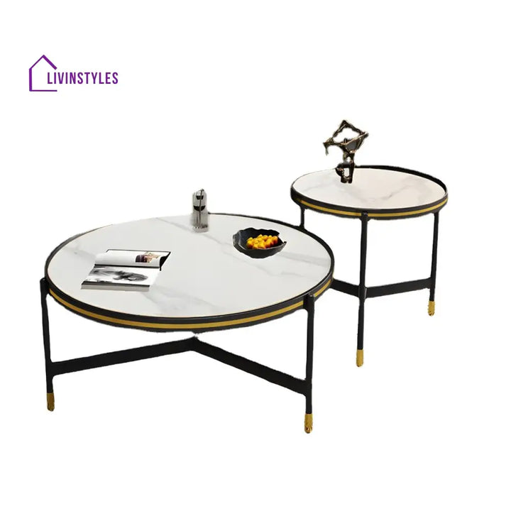 Parth Stainless Steel Frame Coffee Table for Living Room