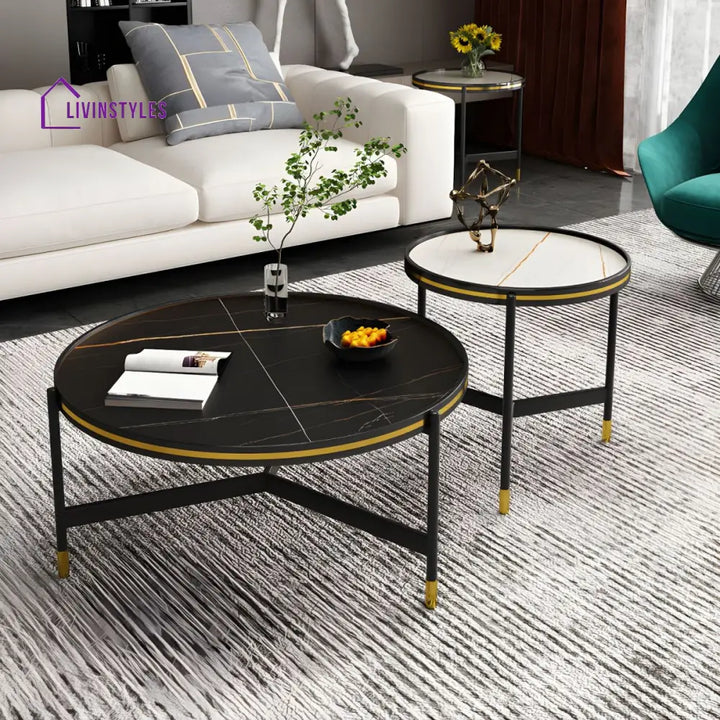 Parth Stainless Steel Frame Coffee Table for Living Room