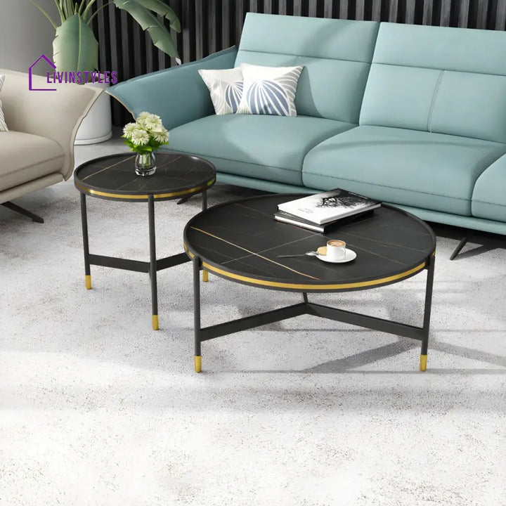 Parth Stainless Steel Frame Coffee Table for Living Room