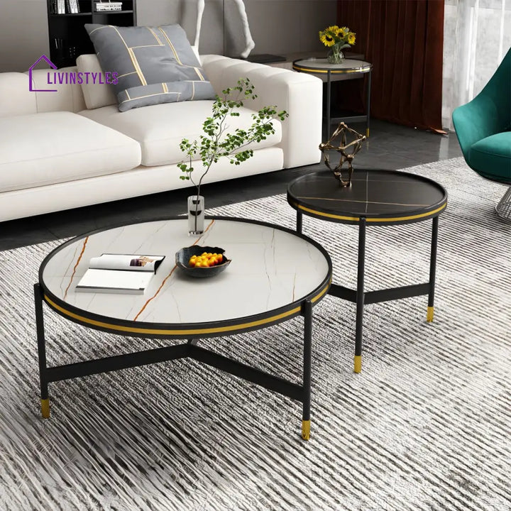 Parth Stainless Steel Frame Coffee Table for Living Room