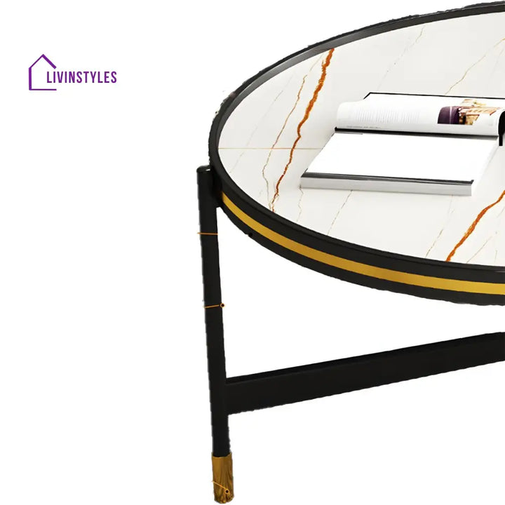 Parth Stainless Steel Frame Coffee Table for Living Room