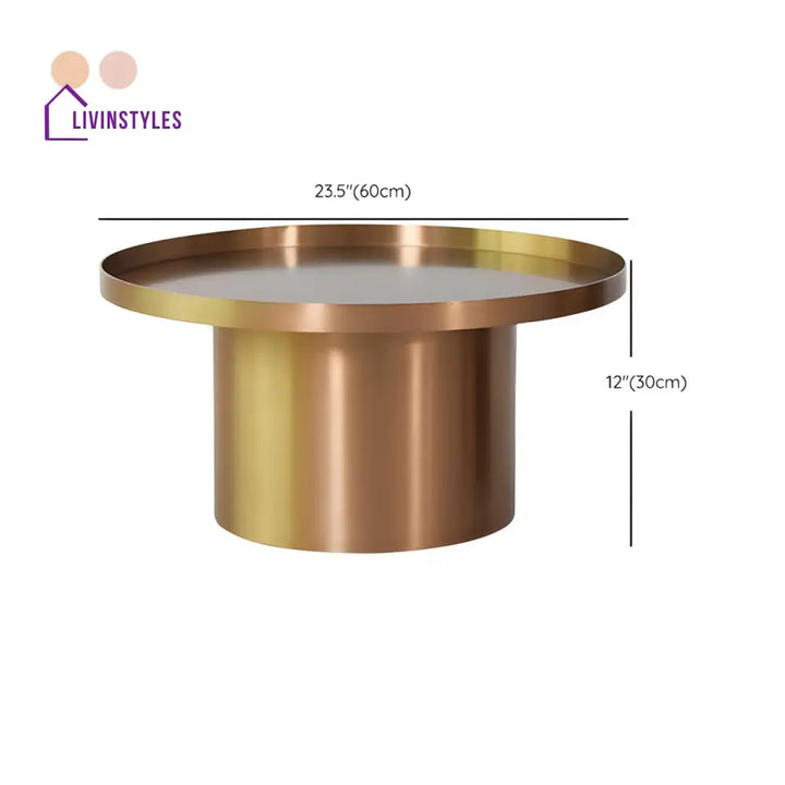 Pihu Stainless Steel Coffee Table for Living Room