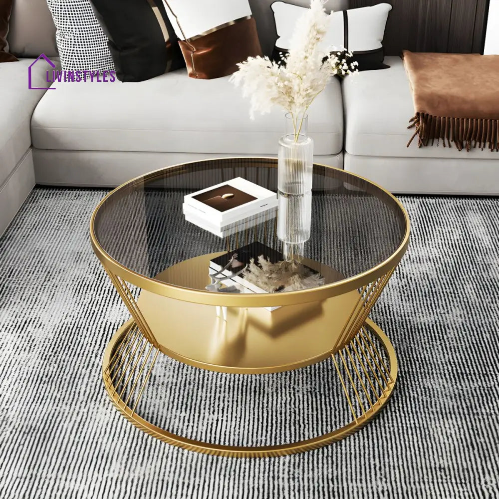 Prakriti Stainless Steel Coffee Table for Living Room