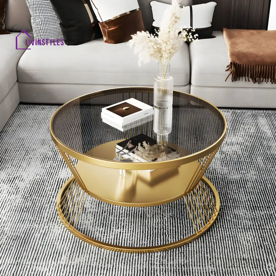 Prakriti Stainless Steel Coffee Table for Living Room
