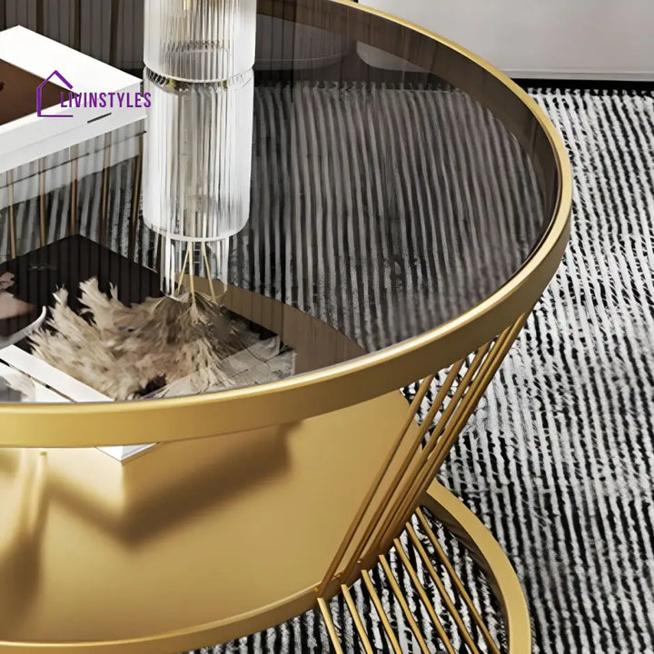 Prakriti Stainless Steel Coffee Table for Living Room