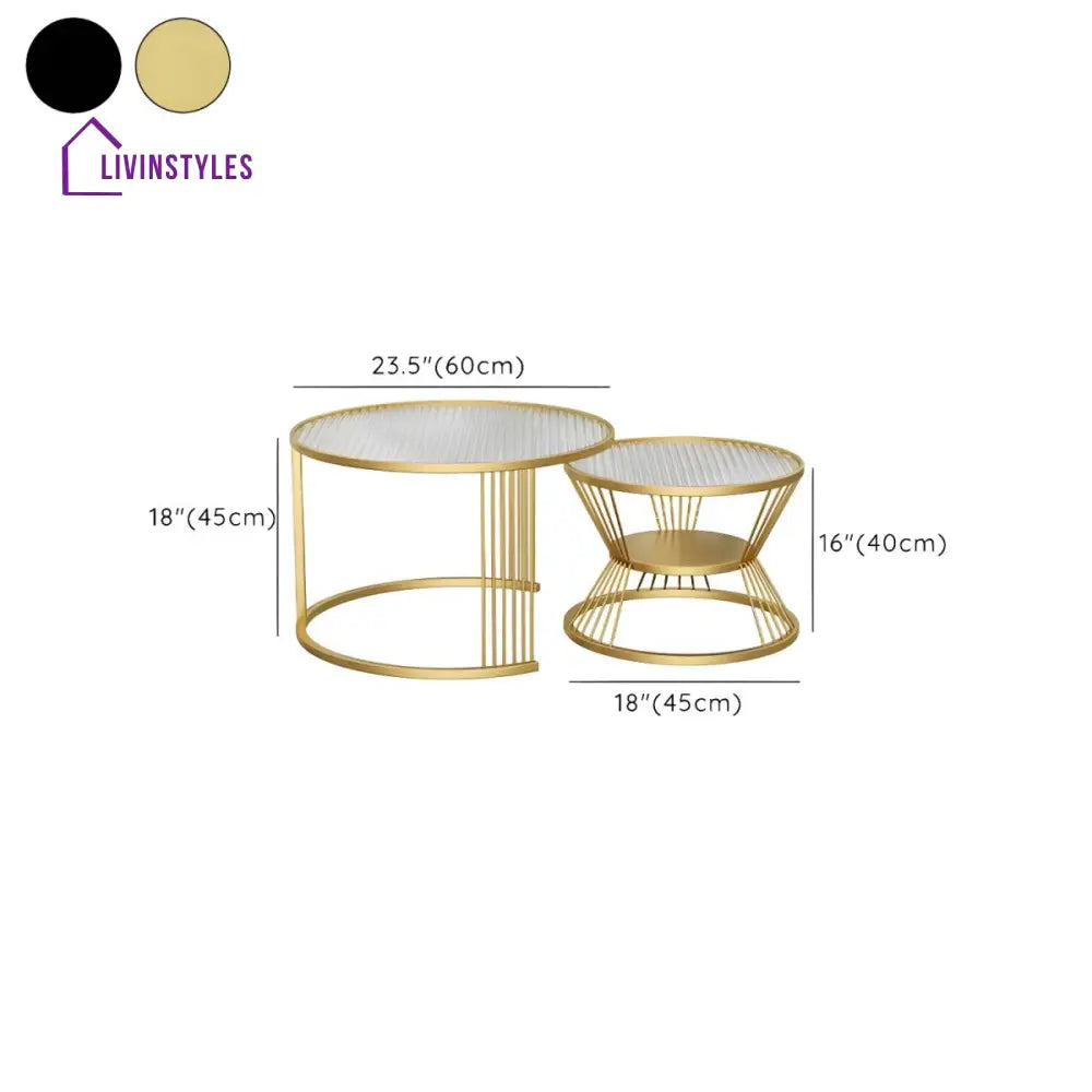 Pranavi Stainless Steel and Fluted Glass Top Coffee Table for Living Room